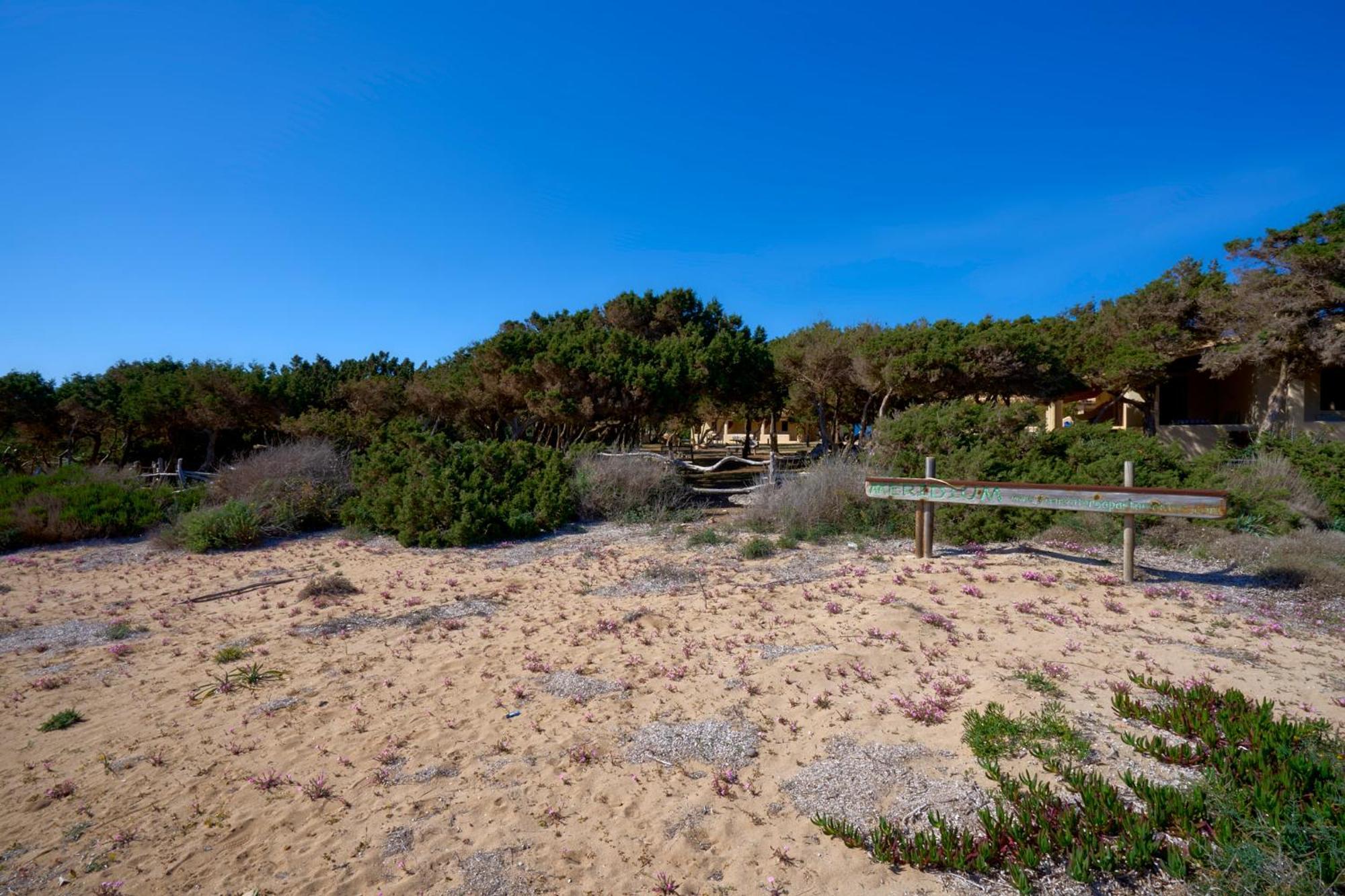 Meridium Formentera By Tentol Hotels 플라야미그호른 외부 사진