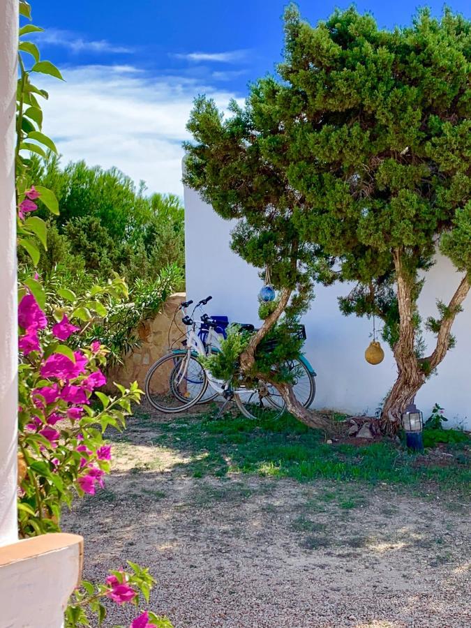 Meridium Formentera By Tentol Hotels 플라야미그호른 외부 사진